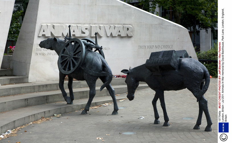 Pomnik "Animals In War" w Londynie /Jeff Blackler / Rex Features /East News