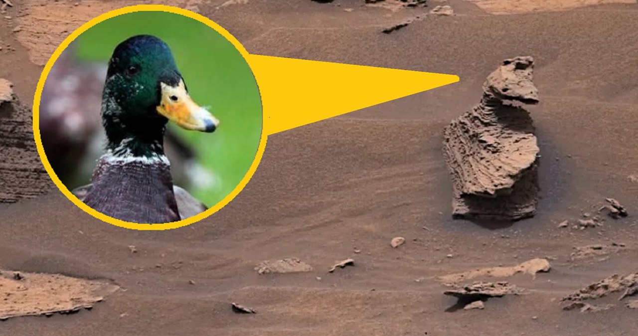 Pomnik kaczora na Marsie. Zdjęcie łazika Curiosity robi furorę w mediach społecznościowych /NASA
