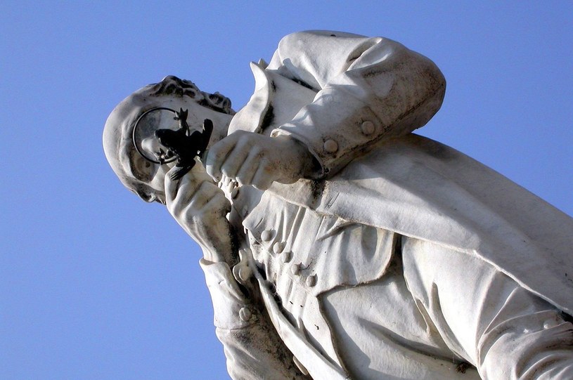 Pomnik Lazzaro, który przygląda się żabie /Wikimedia