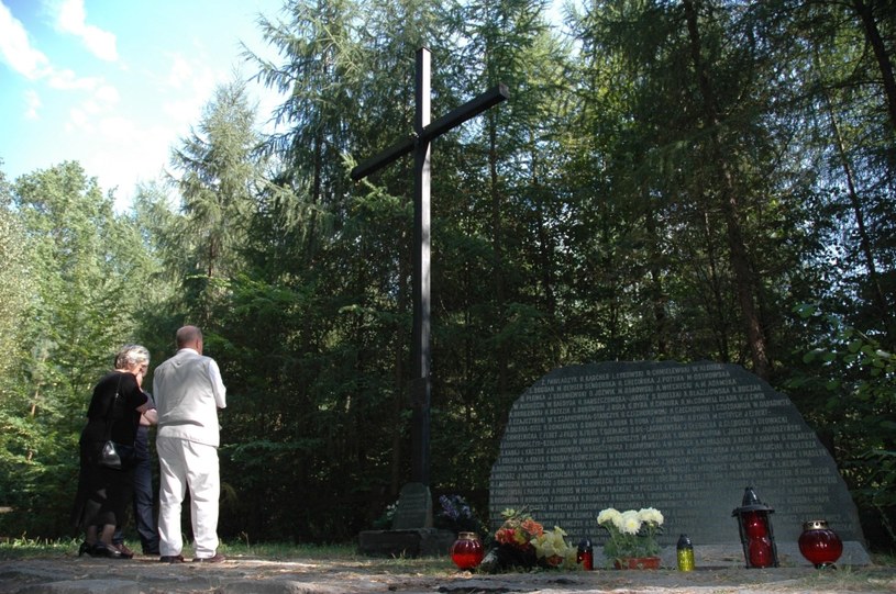 Pomnik Ofiar Katastrofy Lotniczej samolotu "Tadeusz Kosciuszko" w Lesie Kabackim /Agencja FORUM