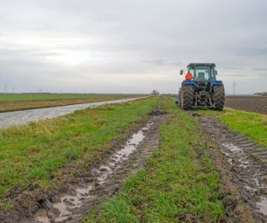 Pomoc dla rolników, nawet 3000 zł do hektara. Kto będzie mógł skorzystać?