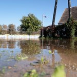 Pomoc dla rolników. Podano stawki, do kiedy trzeba złożyć wnioski?