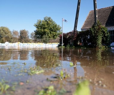 Pomoc dla rolników. Podano stawki, do kiedy trzeba złożyć wnioski?