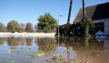 Pomoc dla rolników. Podano stawki, do kiedy trzeba złożyć wnioski?