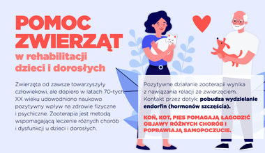 Pomoc zwierząt w rehabilitacji dzieci i dorosłych - [INFOGRAFIKA]