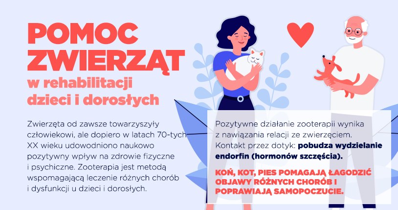 Pomoc zwierząt w rehabilitacji dzieci i dorosłych /INTERIA.PL