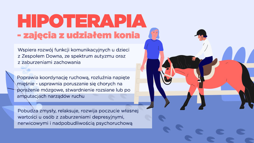 Pomoc zwierząt w rehabilitacji /INTERIA.PL