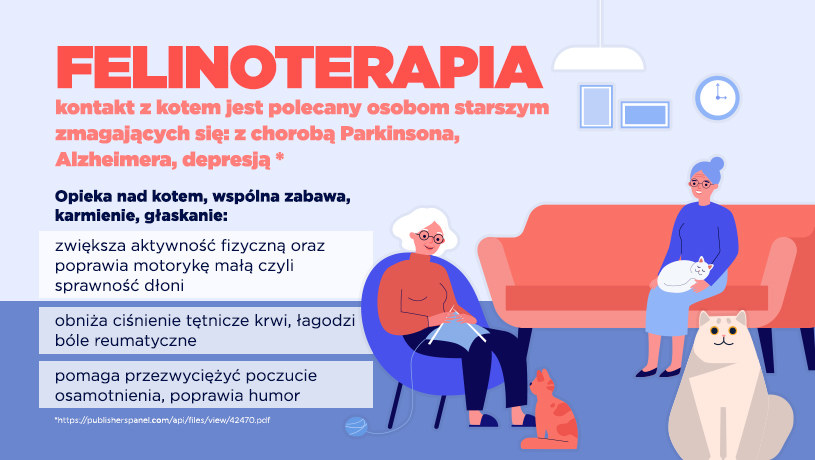 Pomoc zwierząt w rehabilitacji /INTERIA.PL