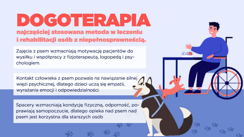Pomoc zwierząt w rehabilitacji /INTERIA.PL