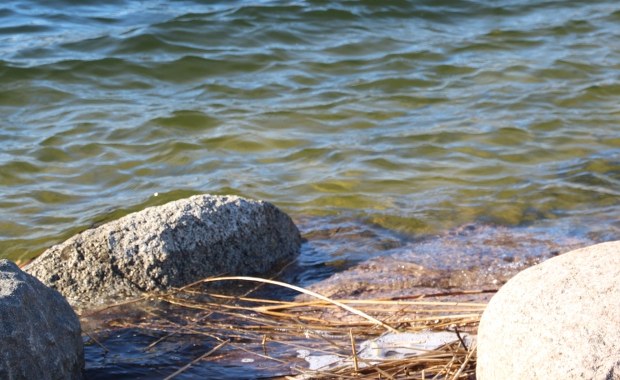 Pomorskie: Akcja poszukiwawcza na jeziorze. 12-latek wpadł do wody