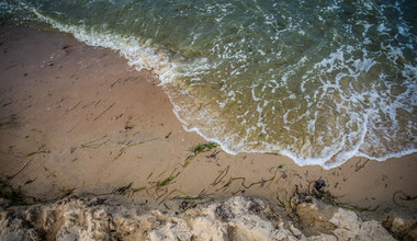 Pomorskie: Większość kąpielisk nad Bałtykiem wolna od sinic