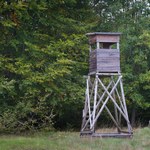 Pomylił dzika z człowiekiem. Nie żyje 60-latek, zatrzymano myśliwego