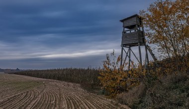 Pomylił żołnierza z szopem. Myśliwy trafi do więzienia