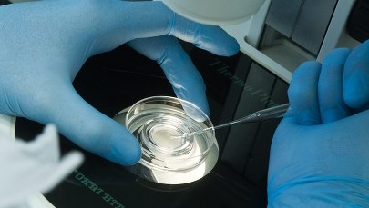 Pomyłka in vitro w Policach. Bałagan, zarzuty dla lekarzy 