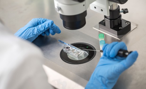 Pomyłka podczas in vitro. Kobieta urodziła nie swoje dziecko