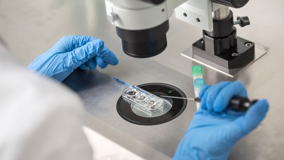 Pomyłka podczas in vitro. Kobieta urodziła nie swoje dziecko