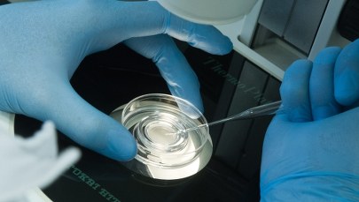 Pomyłka przy in vitro. Rzecznik Odpowiedzialności Zawodowej: Ustalenia są wstrząsające