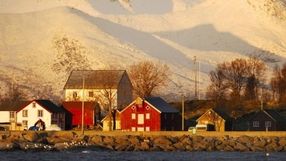 Ponad 100 dzieci wykorzystanych seksualnie. Żyły w sekcie w Norwegii