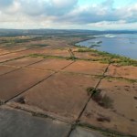 Czarnogóra Ponad 100 lat wydobywali sól. Odkąd przestali, coś dzieje się z ptakami