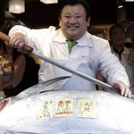 Ponad 100 tys. euro za tuńczyka. Oto najdroższa ryba na targu w Tsukiji