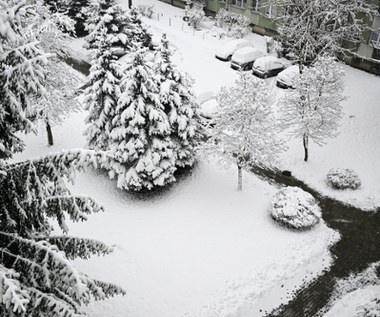Ponad 1000 interwencji strażaków. Atak zimy na Podkarpaciu