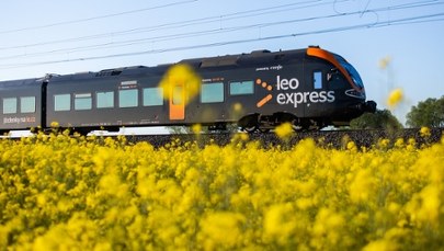 Ponad 1300 km bez przesiadek. Nowy pociąg na zachód latem ruszy z Przemyśla