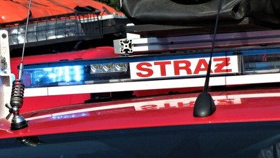 Ponad 200 interwencji w związku z pożarami w ciągu doby