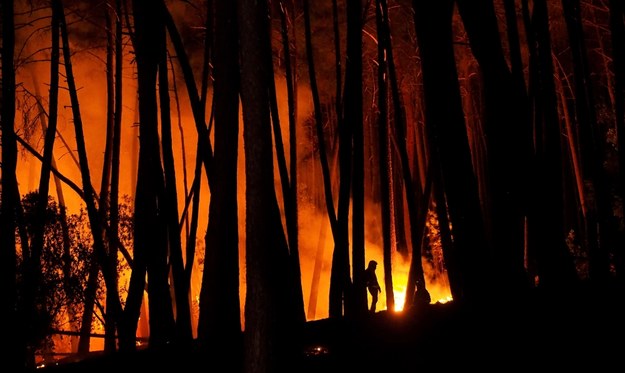 Ponad 200 strażaków walczy z dużym pożarem lasów w pobliżu andaluzyjskiej Malagi na południu Hiszpanii /Eliseo Trigo /PAP/EPA