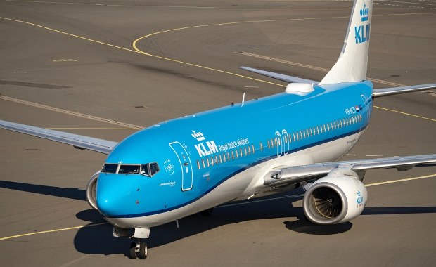 Ponad 250 pasażerów utknęło na Karaibach. Wszystko przez szczura