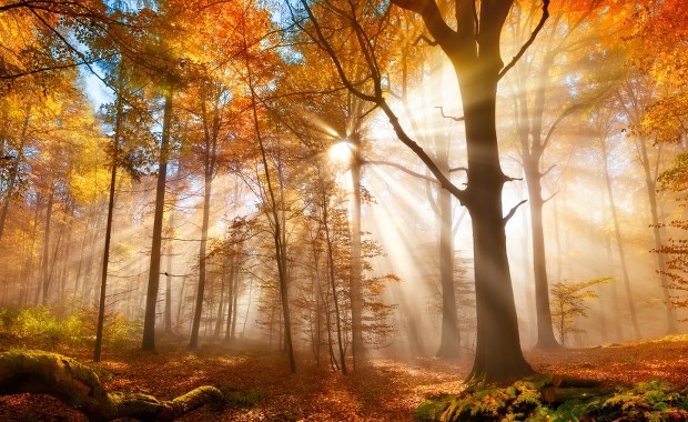 Ponad 29 stopni. Nowy rekord ciepła w październiku w Polsce