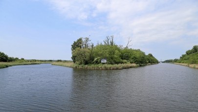 Ponad 450 kg śniętych ryb w Kanale Gliwickim