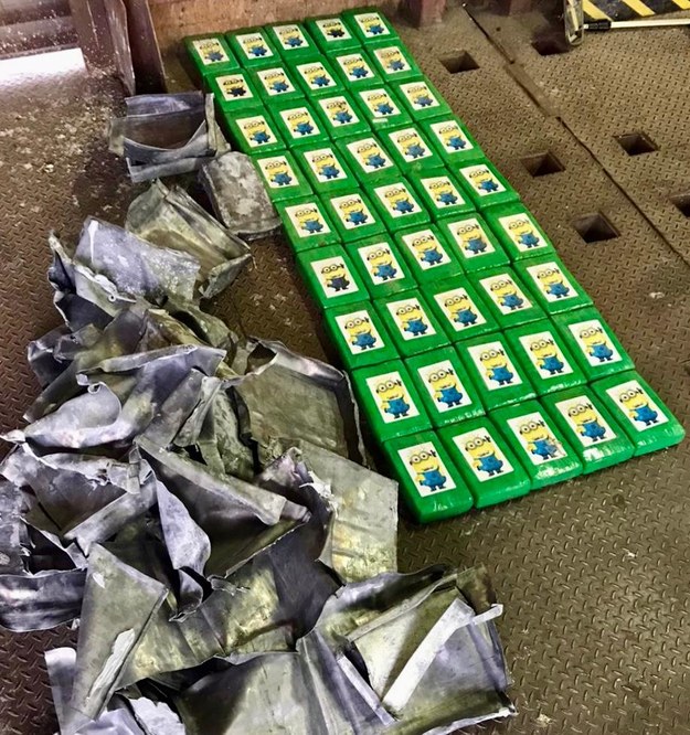 Ponad 50 kilogramów kokainy przejęli ukraińscy pogranicznicy w jednym z portów w Odessie /dpsu.gov.ua /