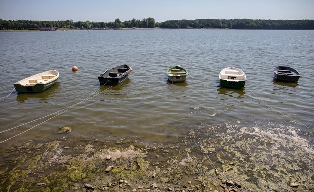 Ponad pół tony śniętych małż zebrano w weekend nad Zalewem Zemborzyckim