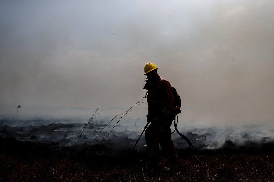 Argentyna: Miliony osób bez prądu z powodu pożaru