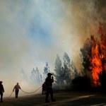 Ponad połowa lasów w Polsce jest zagrożona pożarem. Może być gorzej...
