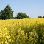 Ponad połowa mieszkańców wsi nie ma kanalizacji