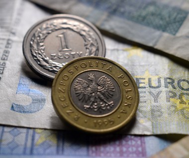 Ponad połowa średnich i dużych firm w Polsce chciałaby euro zamiast złotego