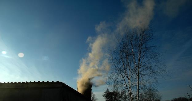 Ponad połowa unoszących się w powietrzu pyłów pochodzi z gospodarstw domowych /fot. Bogdan Sarwiński /East News