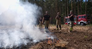 Ponad stu strażaków w akcji, samoloty, śmigłowiec i drony. Wielki pożar w Pomorskiem