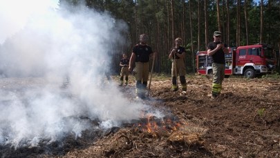 Ponad stu strażaków w akcji, samoloty, śmigłowiec i drony. Wielki pożar w Pomorskiem