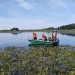 Ponad tona śniętych ryb w zalewie Stary Lubliniec. Na miejsce wysłano żołnierzy