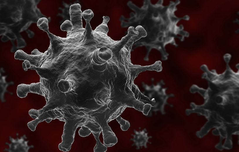 Ponowna infekcja SARS-CoV-2 jest mało prawdopodobna, chyba, że wirus zmutuje /123RF/PICSEL