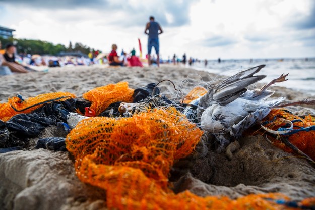 Popołudniu nurkowi zeszli do morza, żeby je oczyścić z plastikowych śmieci /Greenpeace /Materiały prasowe