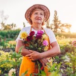 Poprawia kondycję, nastrój, uzupełnia witaminę D. Pięć korzyści zdrowotnych prac w ogródku
