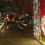 Popularna zimowa atrakcja wraca do Warszawy. Ruszyła sprzedaż biletów