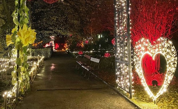Popularna zimowa atrakcja wraca do Warszawy. Ruszyła sprzedaż biletów