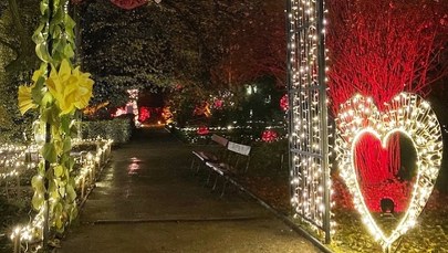 Popularna zimowa atrakcja wraca do Warszawy. Ruszyła sprzedaż biletów