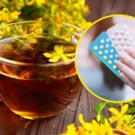 Popularne zioła mogą zrujnować wątrobę lub serce. Używaj, pamiętając o jednym 