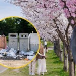 ​Popularny festiwal odwołany. Powodem zachowanie turystów