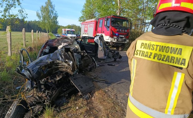 Poranny dramat w Przykorach. Koszmarne zderzenie z łosiem